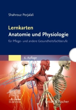 Lernkarten Anatomie und Physiologie