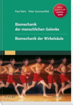 Biomechanik der menschlichen Gelenke. Biomechanik der Wirbelsäule