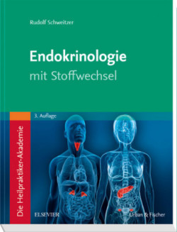 Endokrinologie mit Stoffwechsel