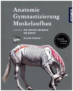 Anatomie, Gymnastizierung, Muskelaufbau