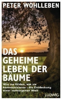 Das geheime Leben der Bäume