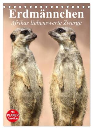 Erdmännchen - Afrikas liebenswerte Zwerge (Tischkalender 2025 DIN A5 hoch), CALVENDO Monatskalender