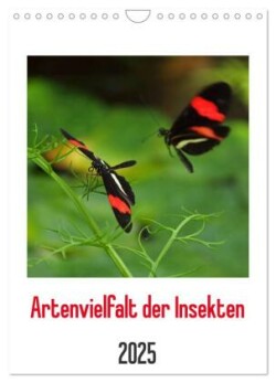 Artenvielfalt der Insekten (Wandkalender 2025 DIN A4 hoch), CALVENDO Monatskalender