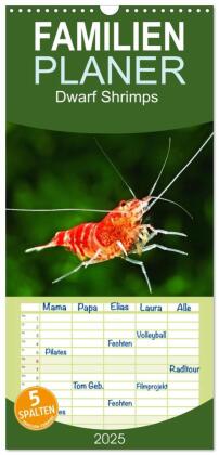 Familienplaner 2025 - Dwarf Shrimps mit 5 Spalten (Wandkalender, 21 x 45 cm) CALVENDO