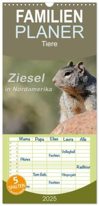 Familienplaner 2025 - Ziesel in Nordamerika mit 5 Spalten (Wandkalender, 21 x 45 cm) CALVENDO