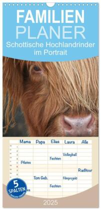 Familienplaner 2025 - Schottische Hochlandrinder - Highland Cattle im Portrait mit 5 Spalten (Wandkalender, 21 x 45 cm) CALVENDO