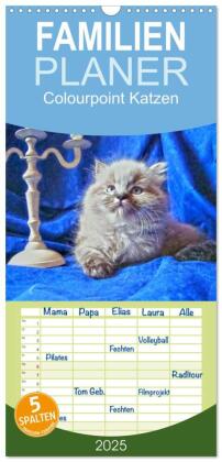 Familienplaner 2025 - Colourpoint Katzen mit 5 Spalten (Wandkalender, 21 x 45 cm) CALVENDO