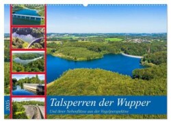 Talsperren der Wupper und ihrer Nebenflüsse aus der Vogelperspektive (Wandkalender 2025 DIN A2 quer), CALVENDO Monatskalender