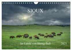 Sioux Im Lande von Sitting Bull (Wandkalender 2025 DIN A4 quer), CALVENDO Monatskalender