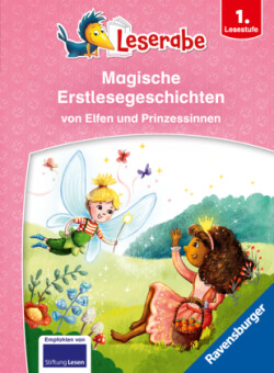 Magische Erstlesegeschichten von Elfen und Prinzessinnen - Miniausgabe - Erstlesebuch für Kinder ab 6 Jahren