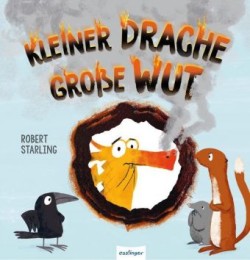 Kleiner Drache Finn: Kleiner Drache - große Wut