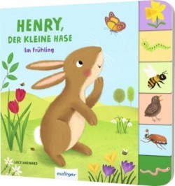 Mein erstes Jahreszeitenbuch: Henry, der kleine Hase