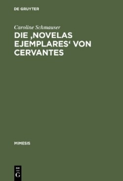 Die 'Novelas Ejemplares' Von Cervantes Wahrnehmung Und Perspektive in Der Spanischen Novellistik Der Fruhen Neuzeit