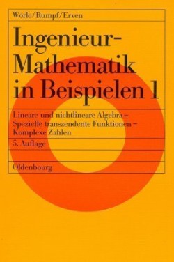 Ingenieur-Mathematik in Beispielen 1