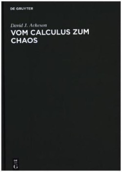 Vom Calculus Zum Chaos