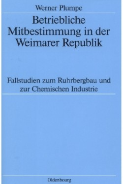 Betriebliche Mitbestimmung in der Weimarer Republik