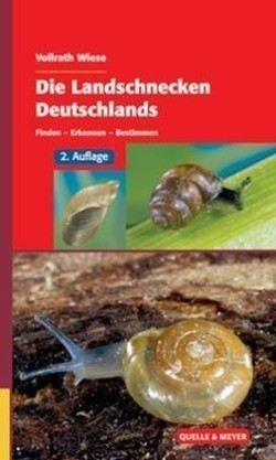 Die Landschnecken Deutschlands