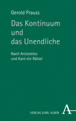 Das Kontinuum und das Unendliche