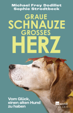 Graue Schnauze, großes Herz