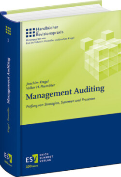 Management Auditing