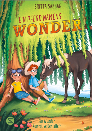 Wonder und ich. Ein Wunder kommt selten allein (Band 2)