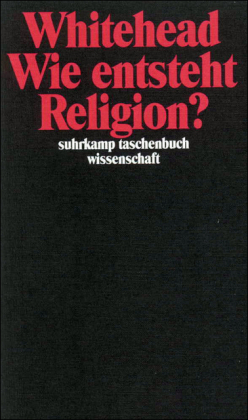 Wie entsteht Religion?