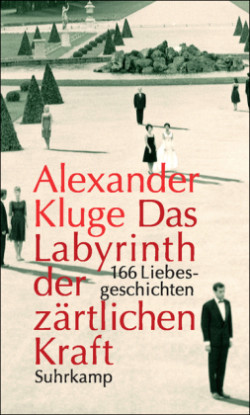 Das Labyrinth der zärtlichen Kraft, m. DVD