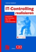 IT-Controlling realisieren