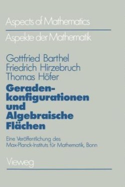 Geradenkonfigurationen und Algebraische Flächen