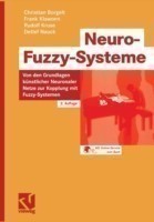 Neuro-Fuzzy-Systeme