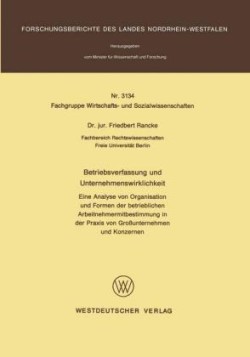 Betriebsverfassung und Unternehmenswirklichkeit