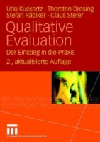 Qualitative Evaluation