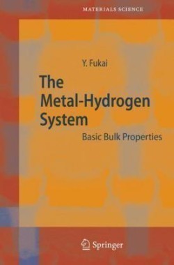 Metal Hydrogen System