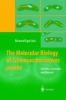 Molecular Biology of Schizosaccharomyces pombe