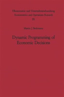 Dynamic Programming of Economic Decisions