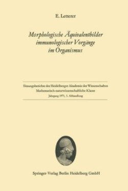 Morphologische Äquivalentbilder immunologischer Vorgänge im Organismus