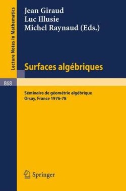 Surfaces Algebriques