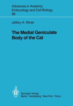Medial Geniculate Body of the Cat