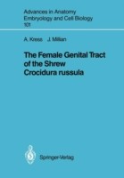 Female Genital Tract of the Shrew Crocidura russula