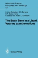 Brain Stem in a Lizard, Varanus exanthematicus