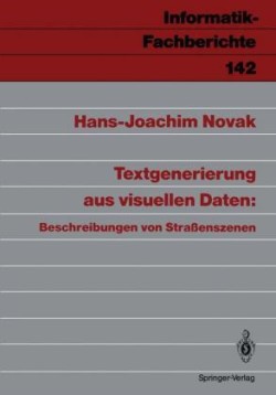 Textgenerierung aus visuellen Daten: Beschreibungen von Straßenszenen