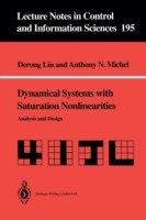 Dynamical Systems with Saturation Nonlinearities