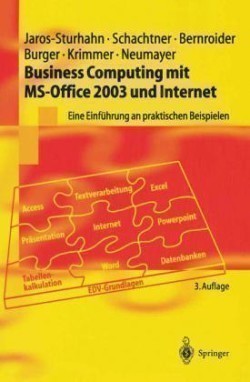 Business Computing mit MS-Office 2003 und Internet