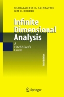 Infinite Dimensional Analysis