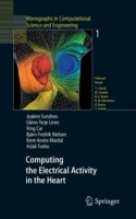 Computing the Electrical Activity in the Heart