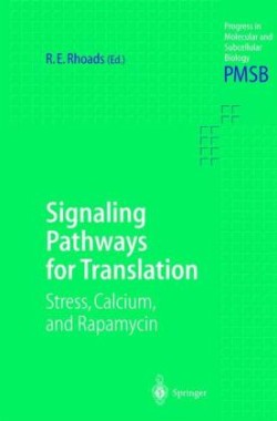 Signaling Pathways for Translation