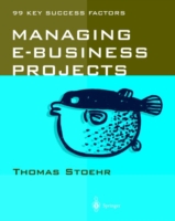 Managing e-business Projects