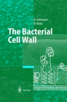Bacterial Cell Wall