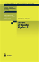 Theory of Operator Algebras II