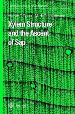Xylem Structure and the Ascent of Sap